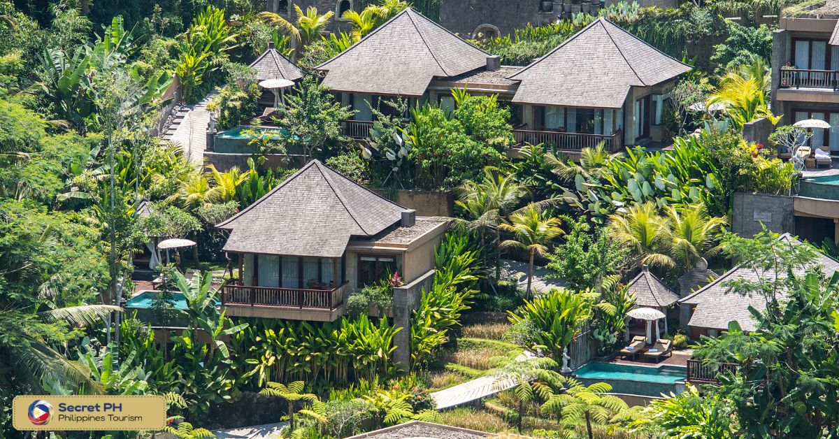 The Farm At San Benito