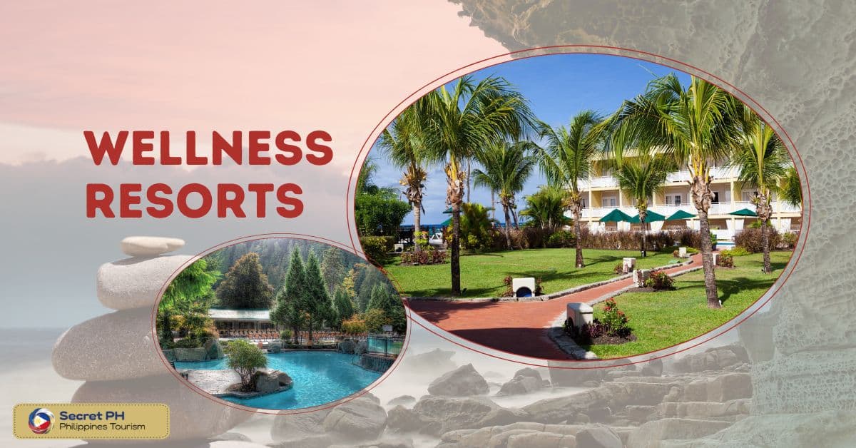 Wellness Resorts