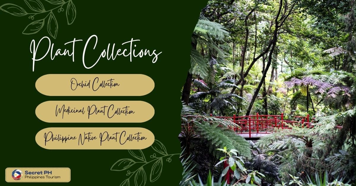 Plant Collections