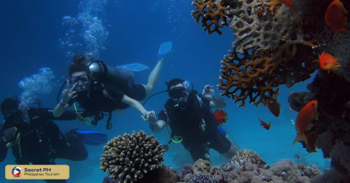 Philippine Fun Divers, Inc.