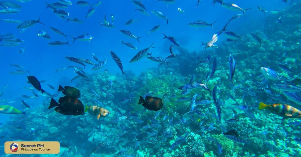 Marine protected areas