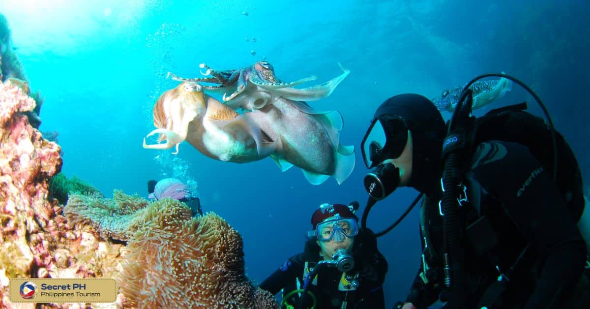 Apo Diver Beach Resort