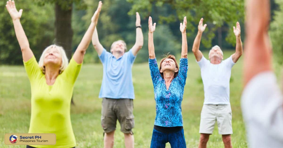 Wellness activities