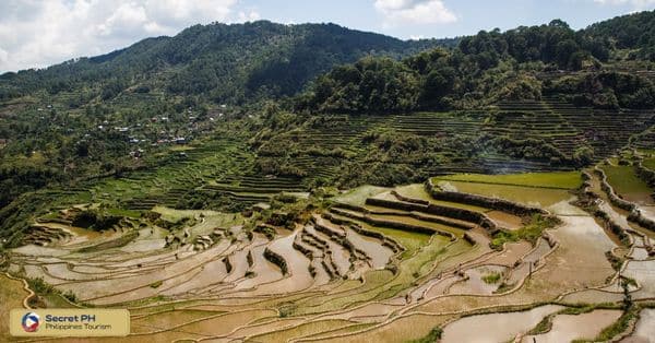 10. Maligcong Rice Terraces