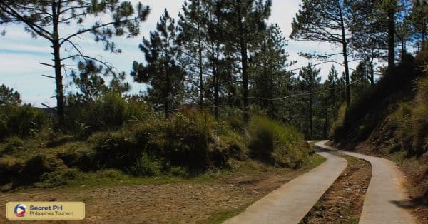 10. The Charms of Kennon Road