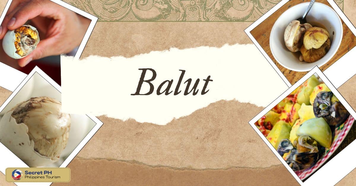 Balut