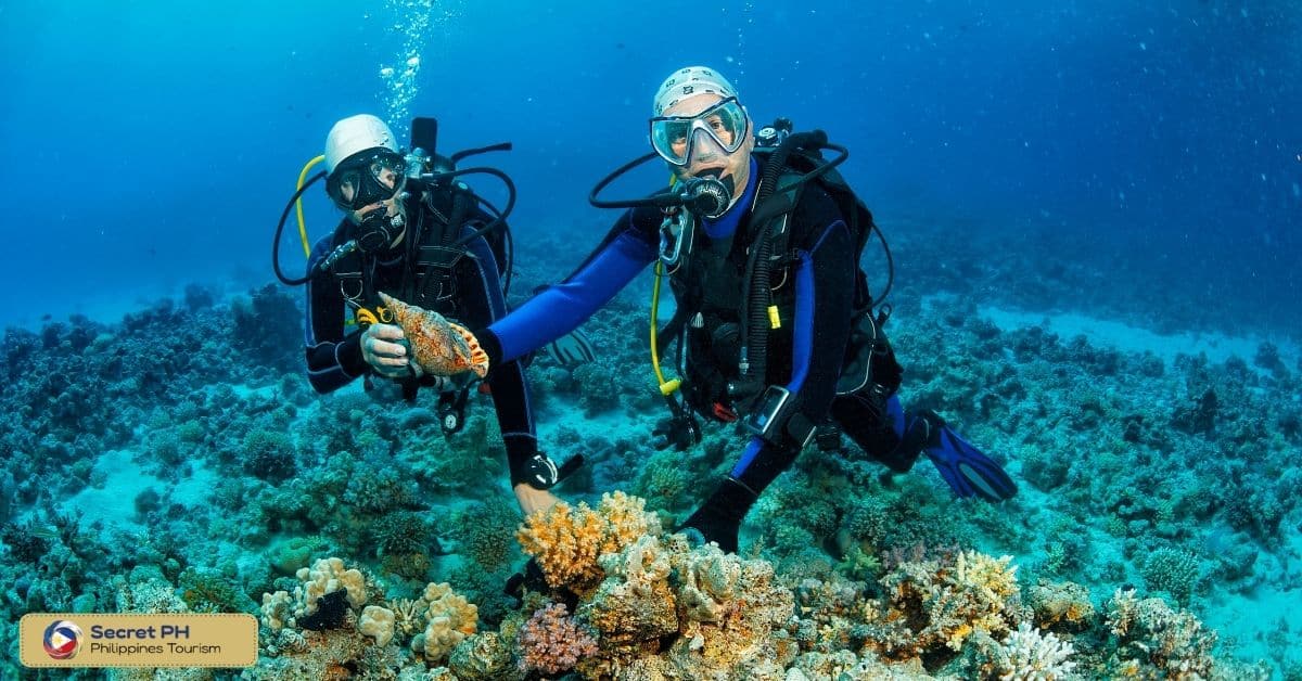 Moalboal Sardines Run Snorkeling/Scuba and Tours