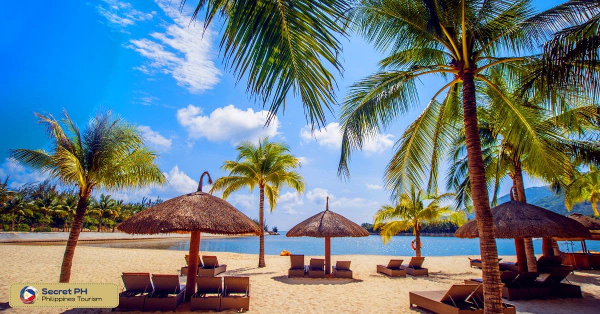 Anino Kite Resort