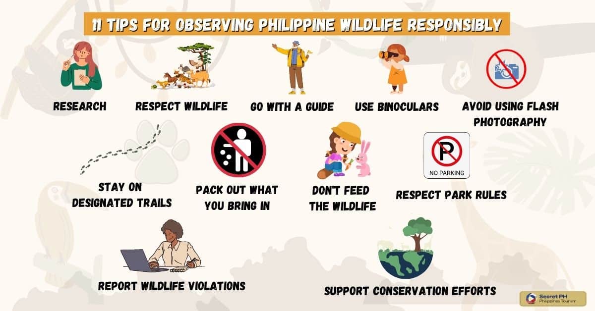 11 Tips for Observing Philippine Wildlife Responsibly