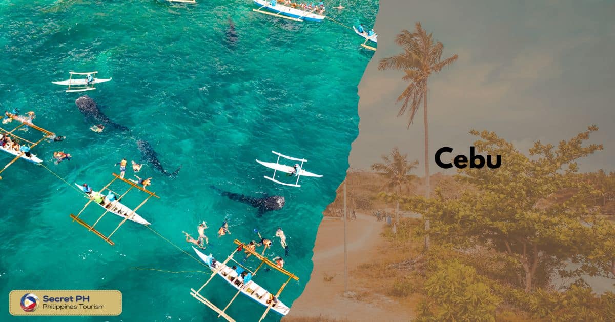 Cebu