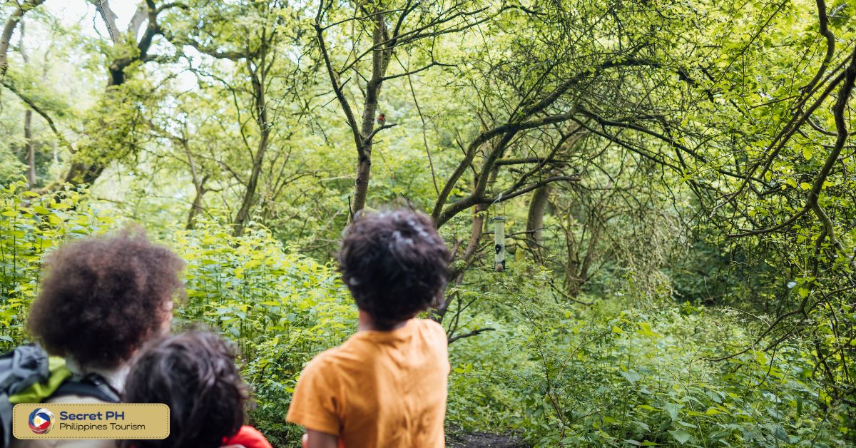 Bird Watching and Migratory Birds