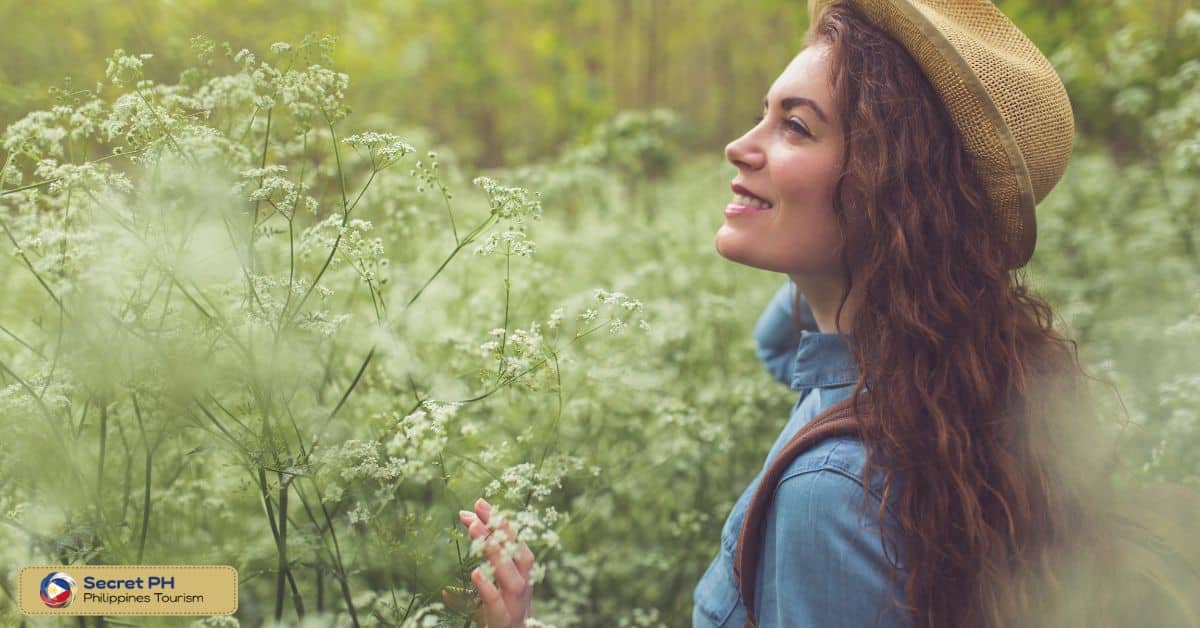 Reconnection with nature