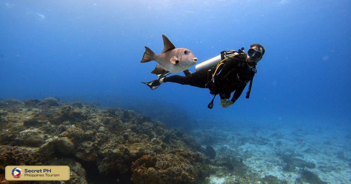 DIVER'S HEAVEN, BOHOL