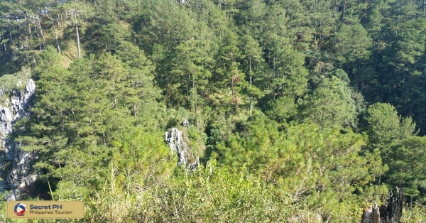 13. Echo Valley