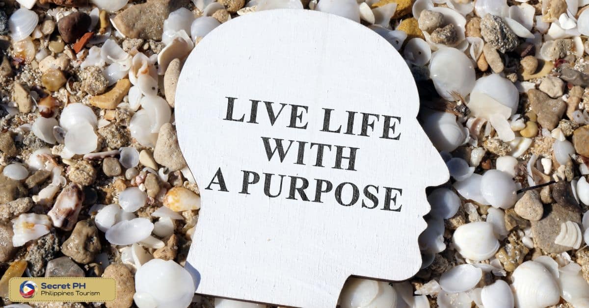 Reflection on life's purpose