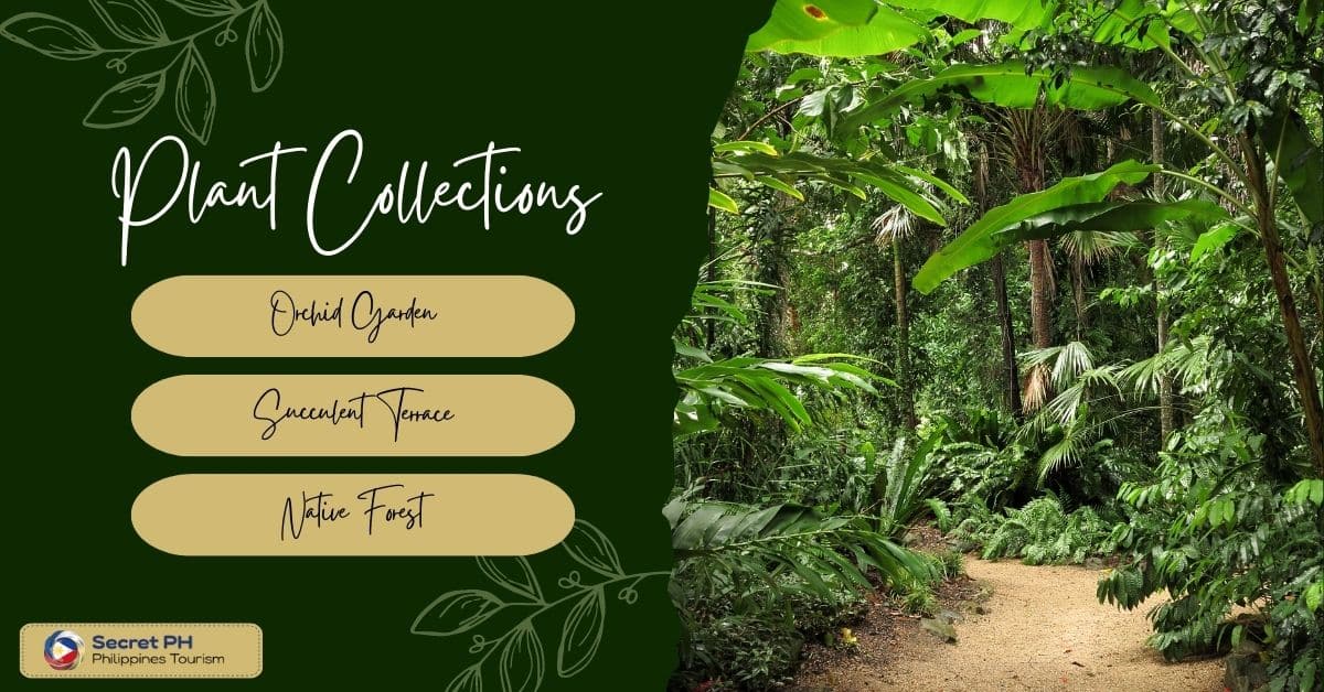 Plant Collections
