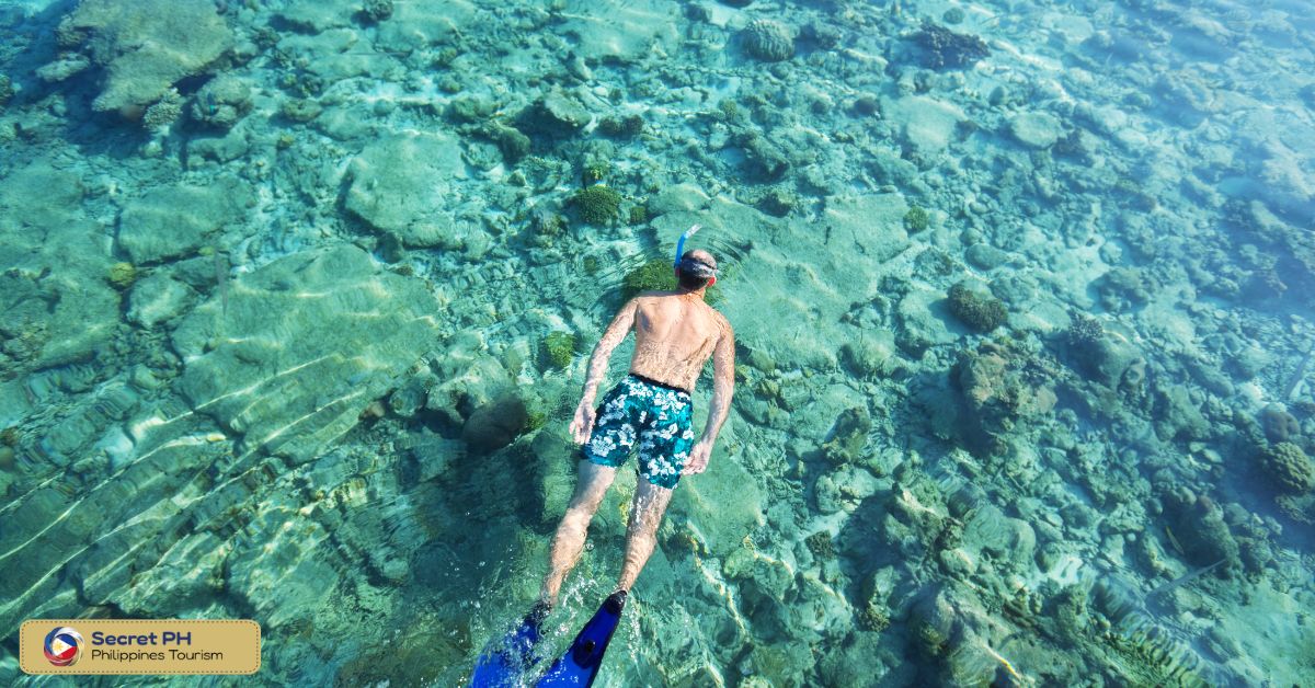 NALUSUAN ISLAND, CEBU