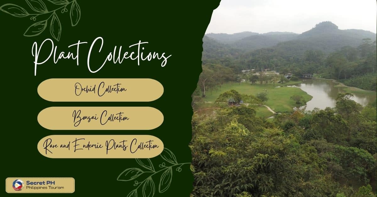 Plant Collections