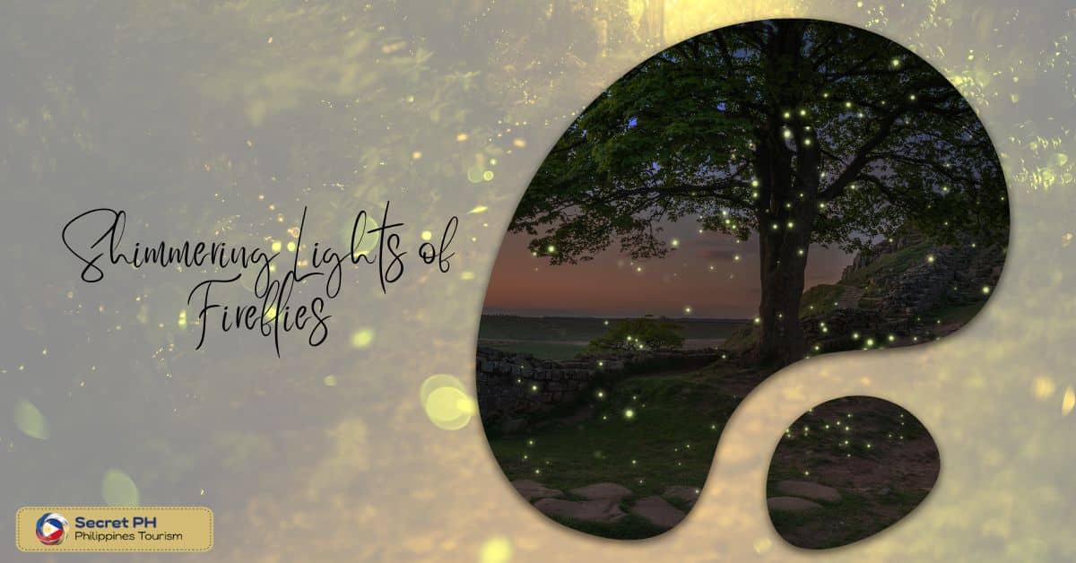 Shimmering Lights of Fireflies