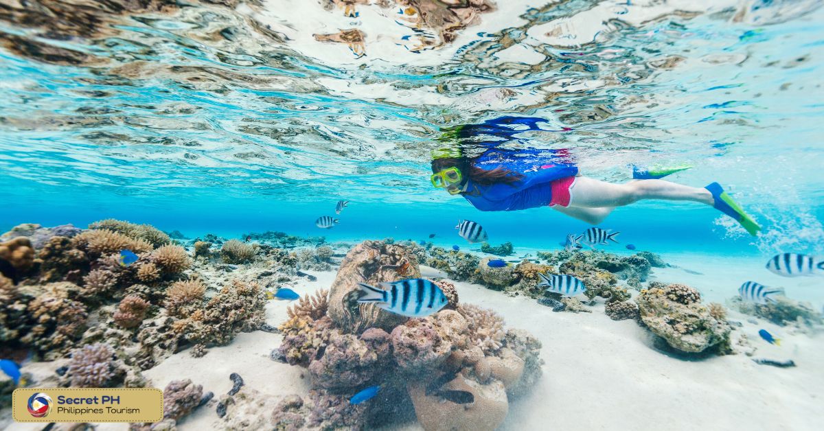 CORAL GARDEN, PUERTO GALERA