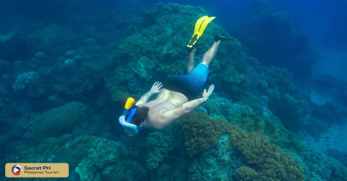 APO ISLAND, NEGROS ORIENTAL