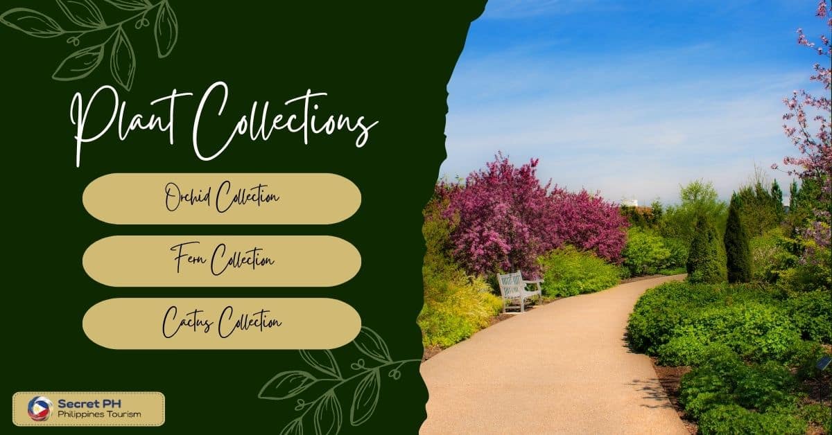 Plant Collections