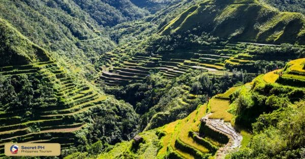 The Batad Rice Terraces