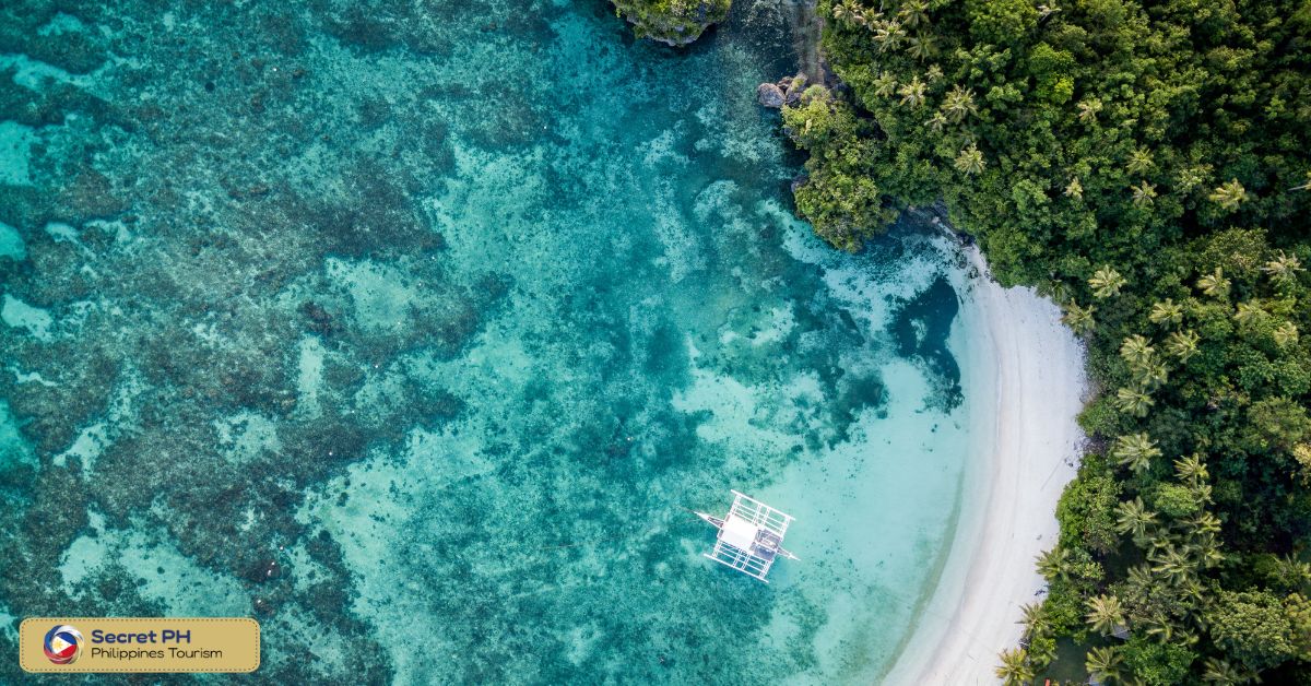 Why Bohol?