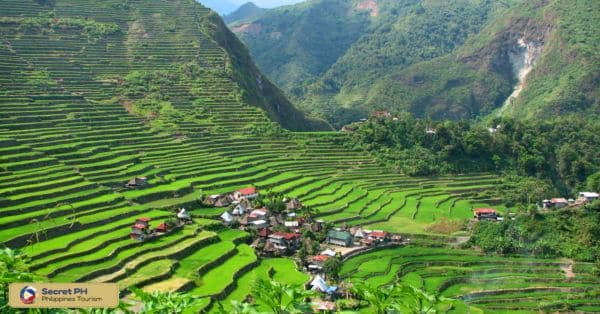 The Rice Terraces of Ifugao