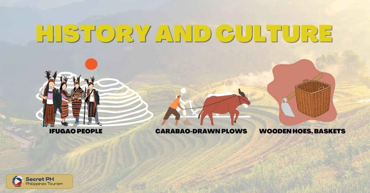History and Culture