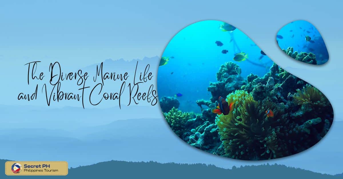 The Diverse Marine Life and Vibrant Coral Reefs