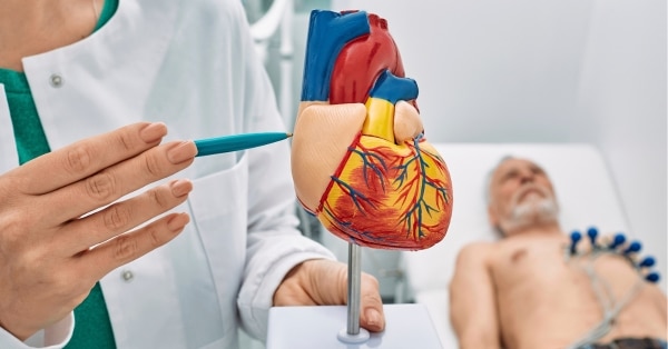 Cardiology image
