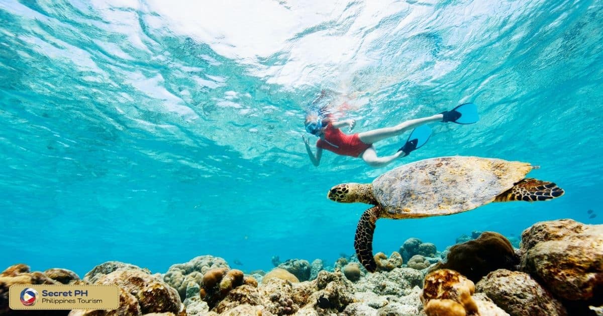 2. Island Hopping and Snorkeling in Palawan