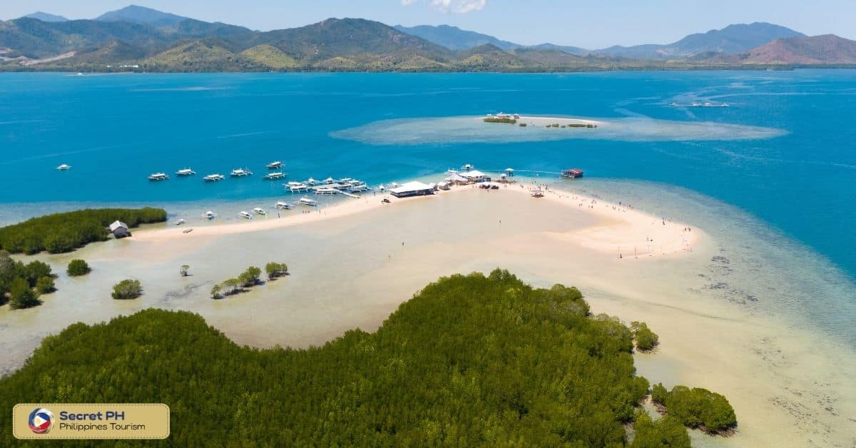 2. Palawan Island: The Best Island for Nature Lovers