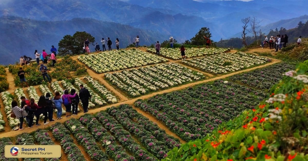 Baguio Botanical Garden
