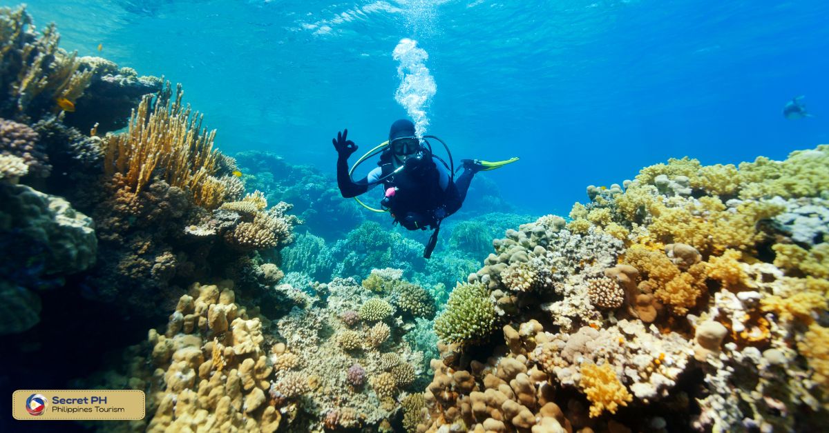 Apo Reef
