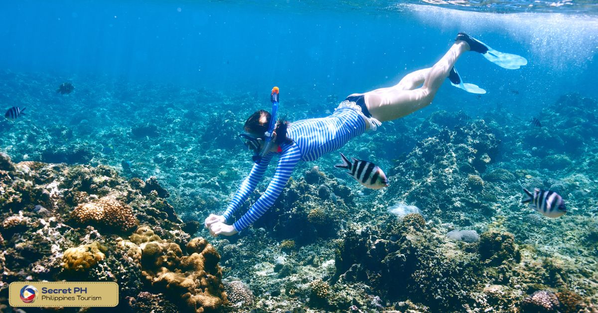 Snorkeling in Siquijor Island