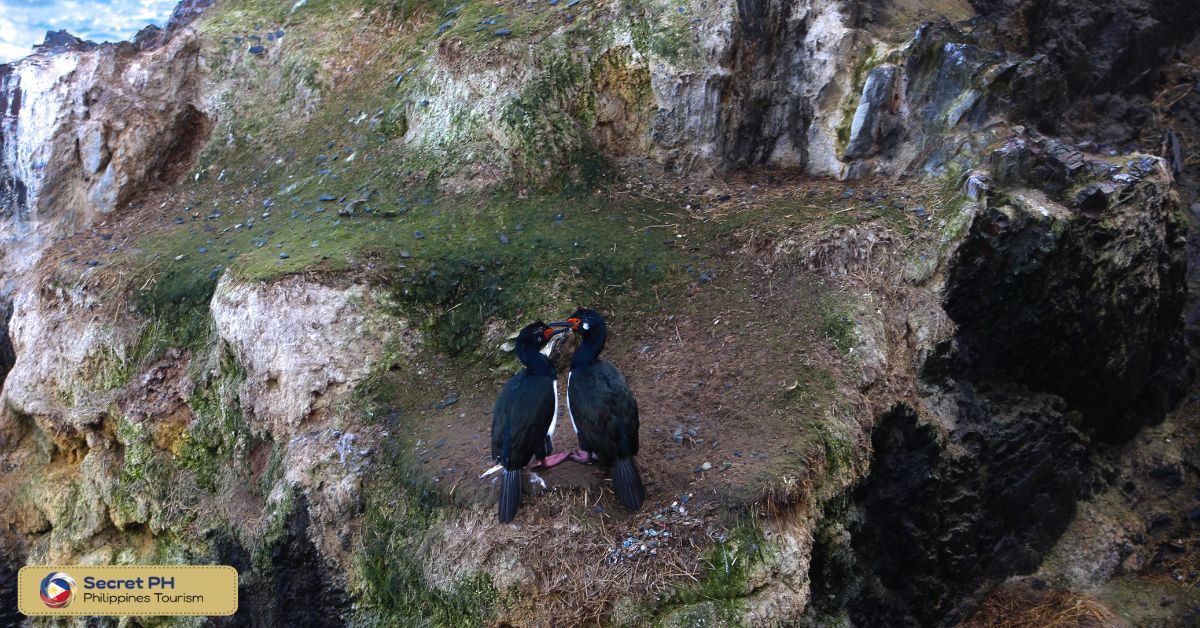 Preservation of biodiversity