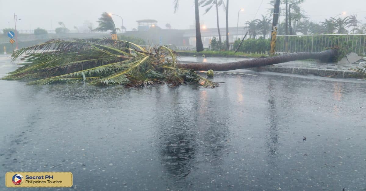 Typhoons
