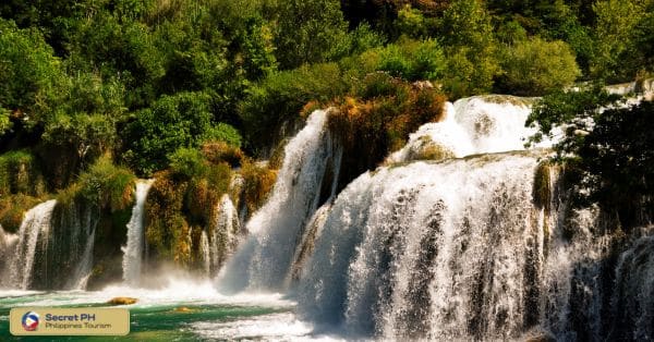 Surrounding flora and fauna