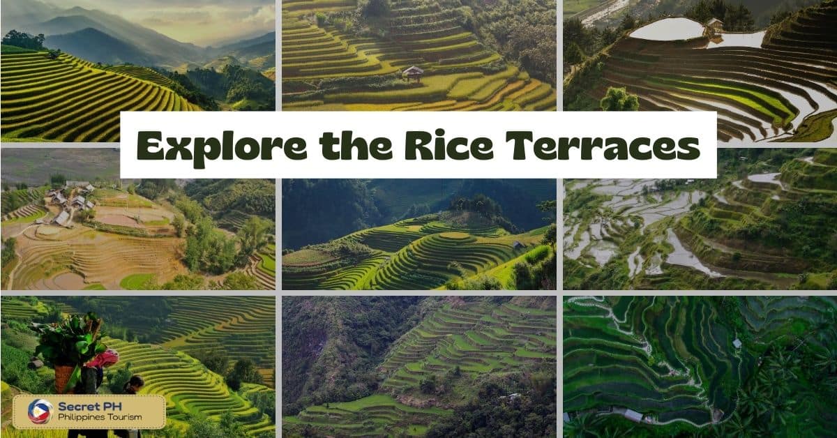 Explore the Rice Terraces