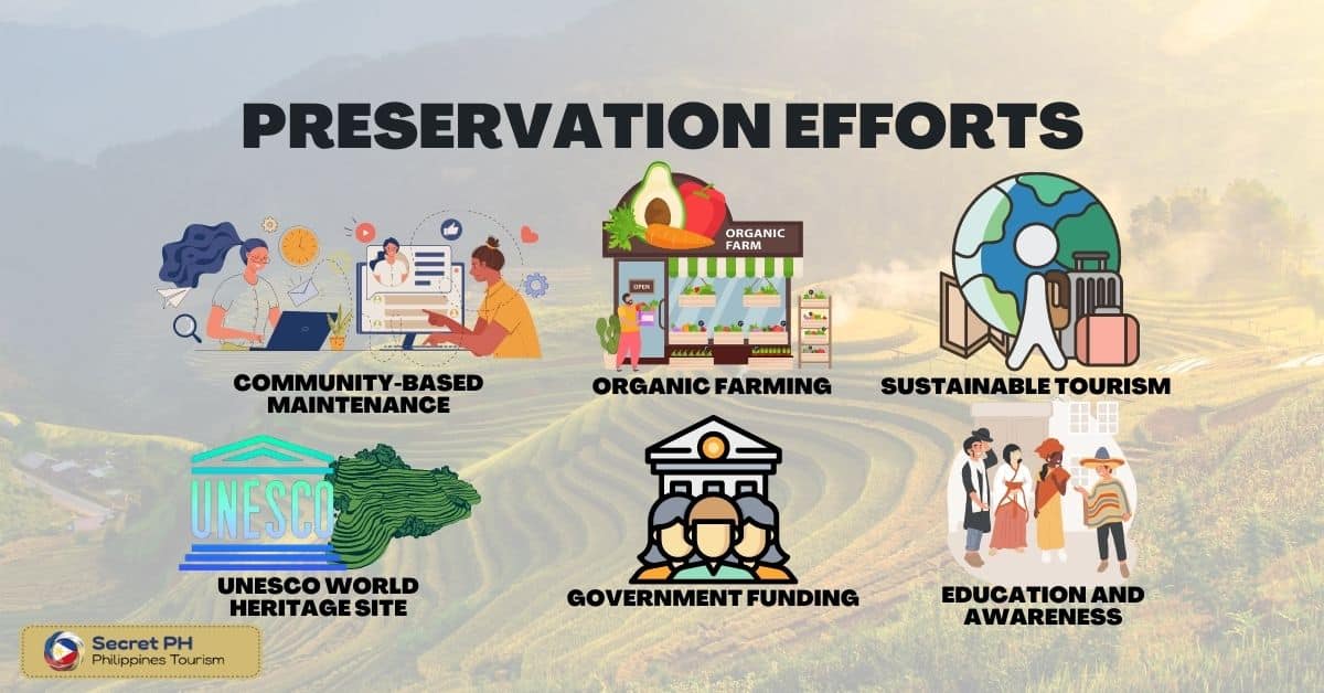 Preservation Efforts