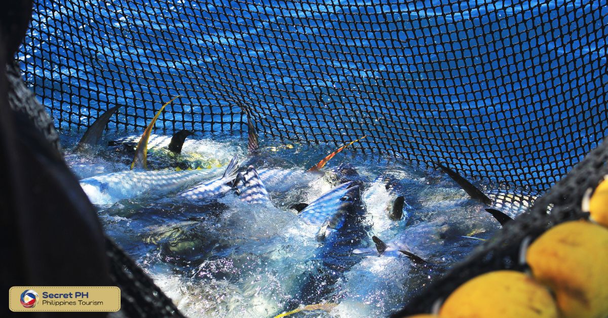 Overfishing