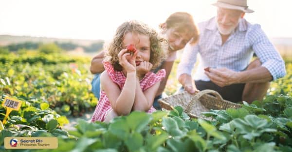 Farm tours and demonstrations