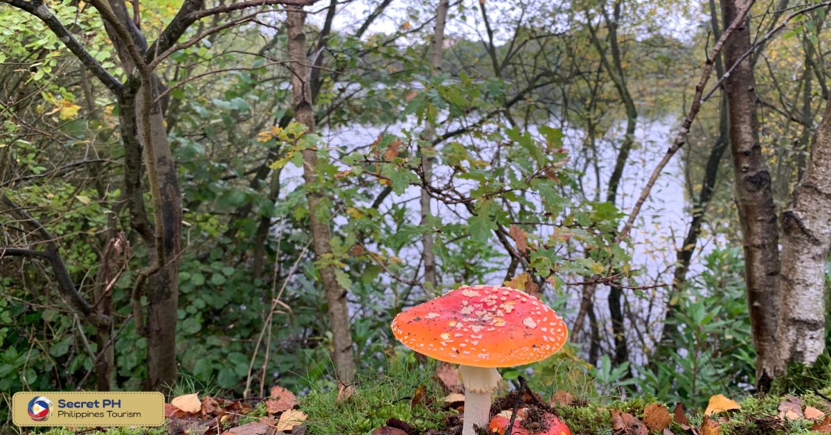 Unique flora and fauna