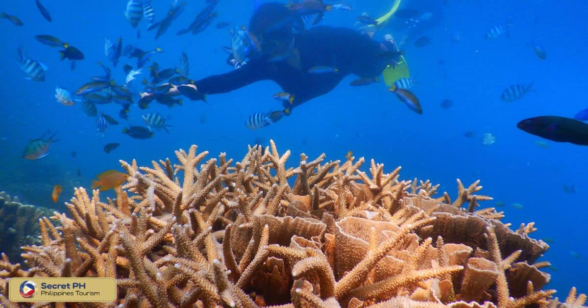 Paliton Marine Sanctuary