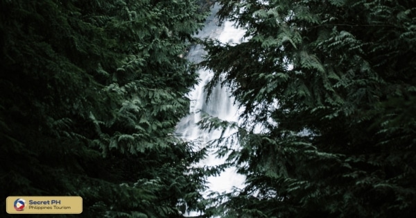 4. Tummey Falls