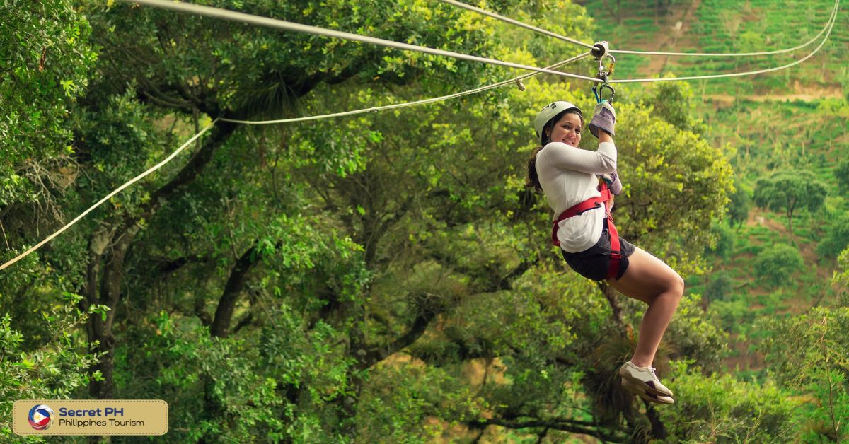 Zipline Tours