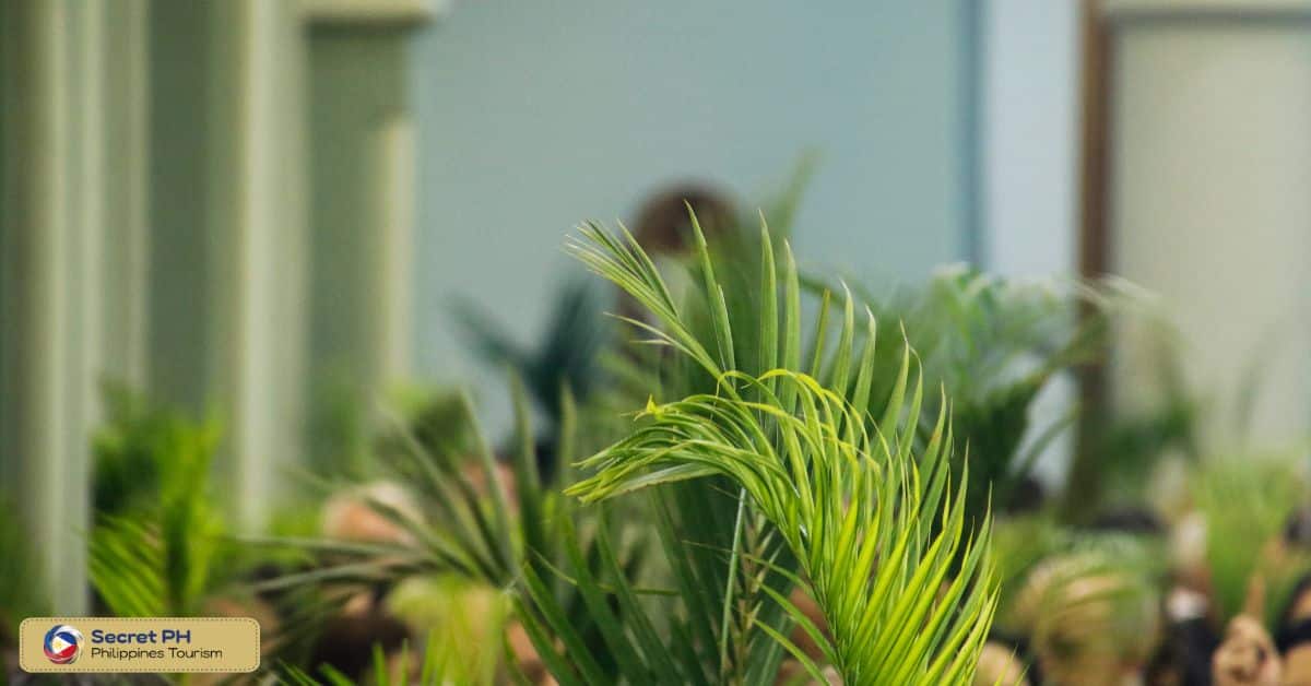 Palm Sunday