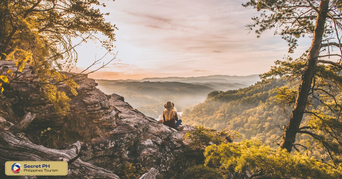 The Diverse Landscapes and Scenic Trails